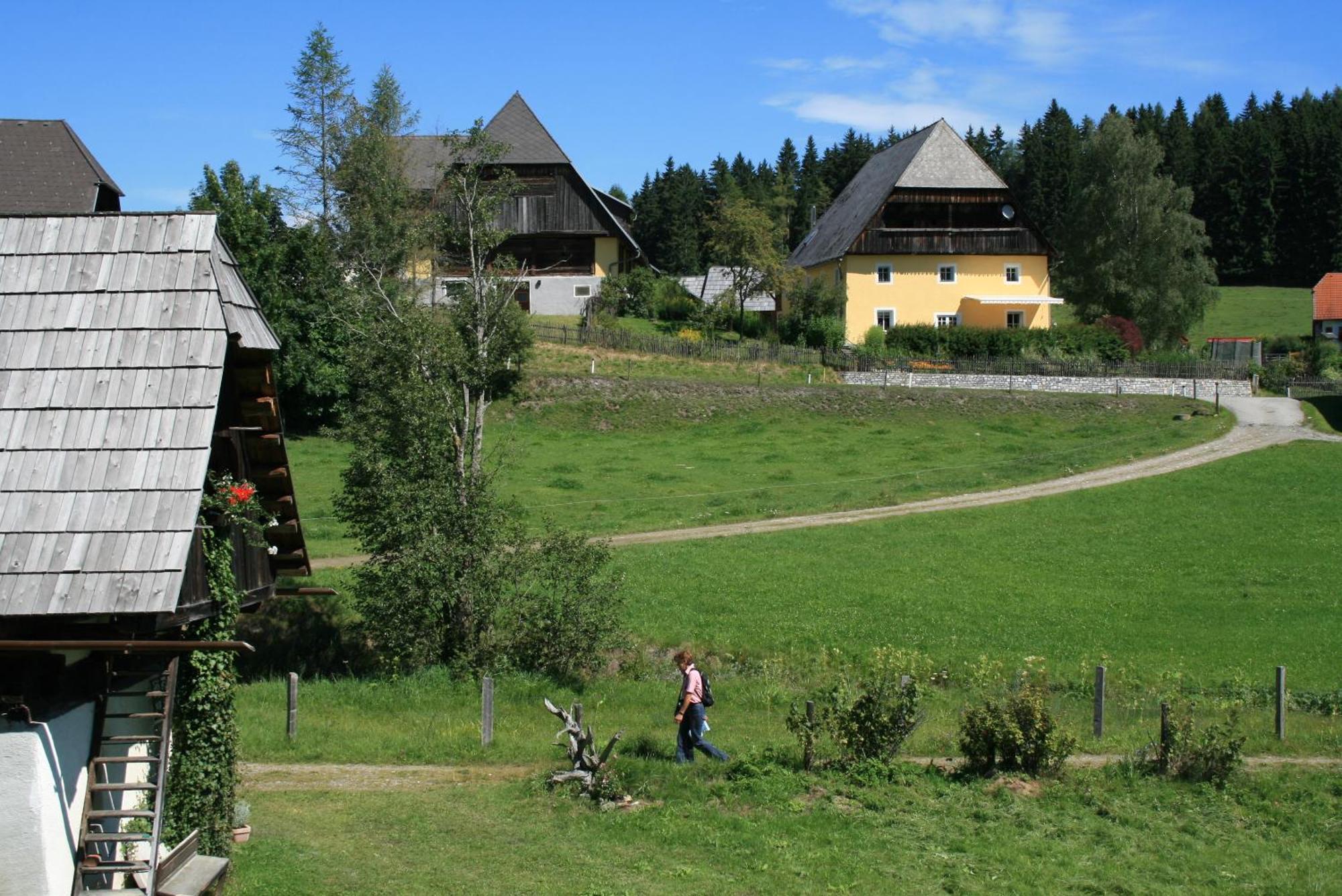 Urlaub Am Bio-Bauernhof Liebchen Villa Zeutschach Exterior photo