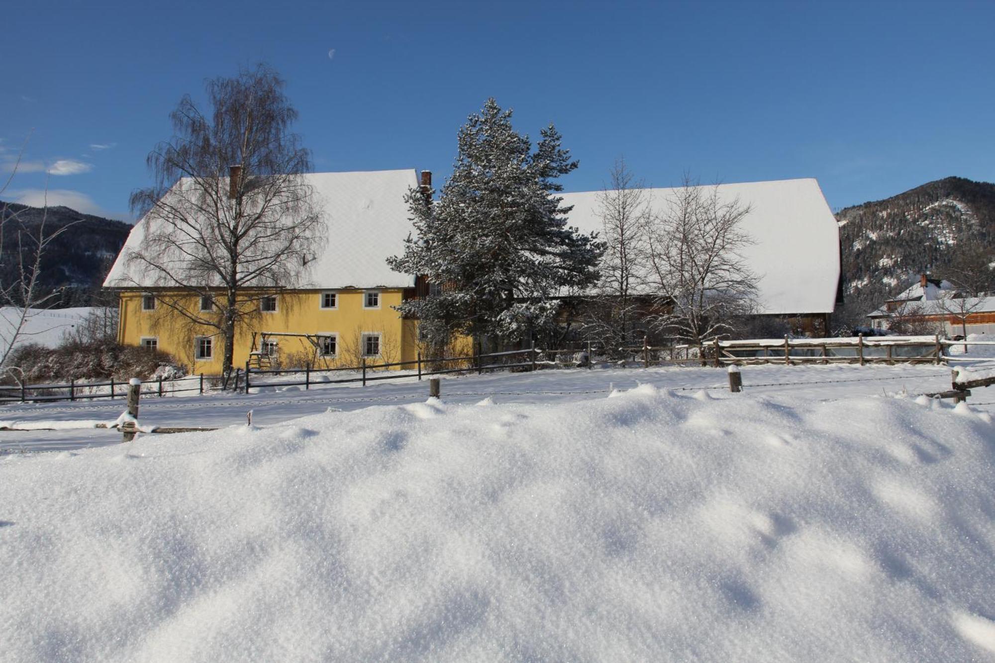 Urlaub Am Bio-Bauernhof Liebchen Villa Zeutschach Exterior photo